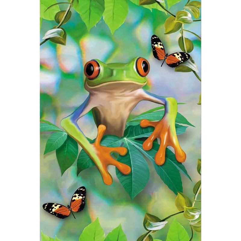 Tree-Free Greetings EcoNotes 12 Count Frog Framed All Occasion Notecard Set with Envelopes, 4 x 6 Inches (FS56911) - Image 1
